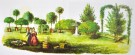 The international book of Trees.  thumbnail