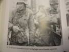 Antony Beevor: Ardennene 1944.  thumbnail