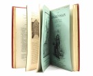 B. W. Matz [ed.] The Dickensian. Complete volume 1906. thumbnail
