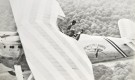 Annette Carson: Flight Fantastic.  thumbnail