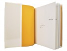 Peder W. Cappelen / Jens Johannessen: Høstblad. Signert. thumbnail