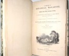 Sir William Jackson Hooker thumbnail