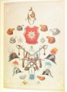 TH.v. Husher: Samling af danske militaire uniformer.   thumbnail