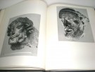 Øistein Parmann: Norwegian Sculpture. thumbnail