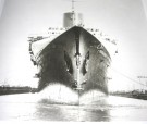 Robert Fox: Liners.  thumbnail