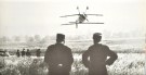 Annette Carson: Flight Fantastic.  thumbnail