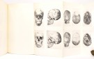 Excavations at Russekeila in West Spitsbergen.  thumbnail