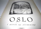 Asbjørn Aamodt: Oslo i strek og stemning. thumbnail