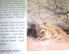 Duff Hart-Davis: Wildings.  thumbnail