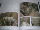Zhang Lin: The Qin Dynasty Terra-Cotta Army of Dreams.  thumbnail