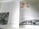 Chris Scarre (Ed.) the human past.  thumbnail