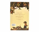 Andrew Wheatcroft:  The Enemy at the Gate.   thumbnail