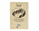 Matthew Kneale:  English Passengers. thumbnail