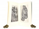 The Barnacle Balanus Balanoides (Linné, 1766) in Spitsbergen. thumbnail