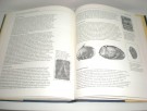 Elizabeth De Castres: A guide to collecting silver.  thumbnail