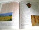 Chris Scarre (Ed.) the human past.  thumbnail