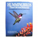 Hummingbirds. thumbnail