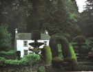 The international book of Trees.  thumbnail