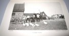 Henry Goddard Leach: Scandinavia of the Scandinavians. thumbnail