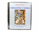 Ørnulf Hodne:  Trolldom i Norge.   thumbnail