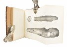 (NEW YORK)  Annual Report of the Regents of the... thumbnail
