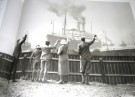 Robert Fox: Liners.  thumbnail
