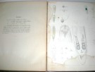 Olaf S. Jensen: Turbellarier ved norges vestkyst.  thumbnail