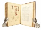 Captain J. K. Tuckey:  Narrative of an Expedition to Explore The River... thumbnail