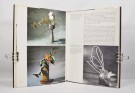 John March-Penney: Japanese flower arrangement. thumbnail