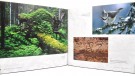 The nature of North Karelia.  thumbnail