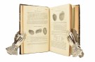 (NEW YORK)  Annual Report of the Regents of the... thumbnail