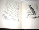 Birds of the Seashore.  thumbnail