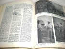 Bert L. Hall: Roundup years.  thumbnail