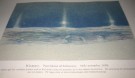 Fridtjof Nansen: Fram over polhavet. Bind I-II. thumbnail