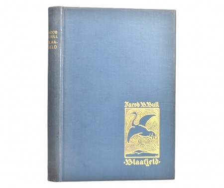 Jacob B. Bull: Blaafjeld.  