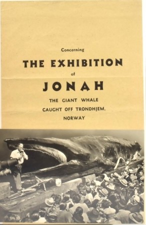 Concerning The Exhibition of Jonah,  The...