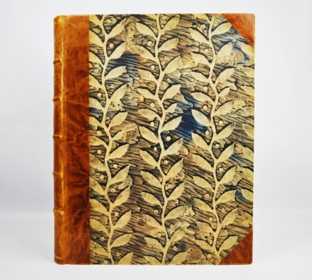 En Norvège vers les regiones Arctique par Monseigneur Fallize.