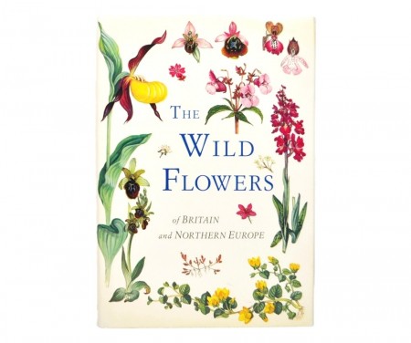 The Wild flowers of Britain and Northern Europe. 