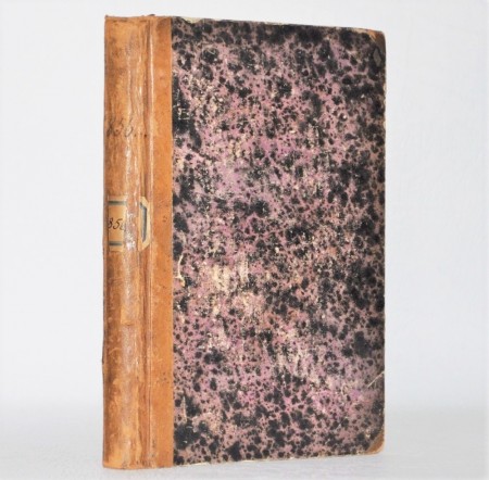 Volrath Vogt: Reise i det hellige Land og Syrien.  