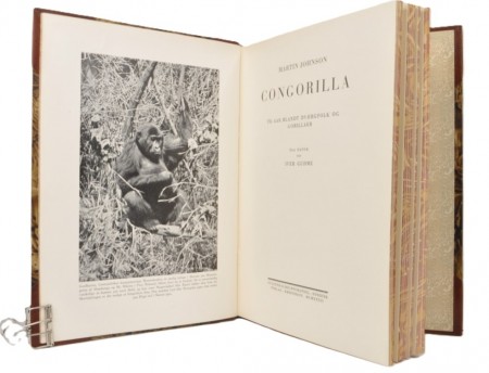 Martin Johnson: Congorilla. 