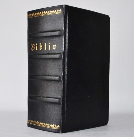 Biblia, det er den ganske Hellige Skrifts Bøger... Kiøbenhavn 1830