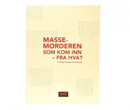Regi Theodor Enerstvedt: Massemorderen som kom inn - fra hva?