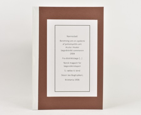 Nannestad:  Beretning om en epidemi af...