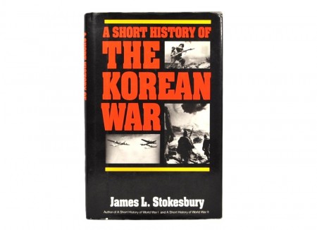 James L. Stokeesbury: A Short History of the Korean War.