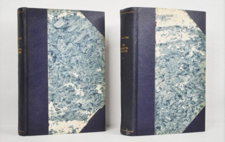 Jacob B. Bull: Nye folkelivsbilleder. Bind 1-2. 