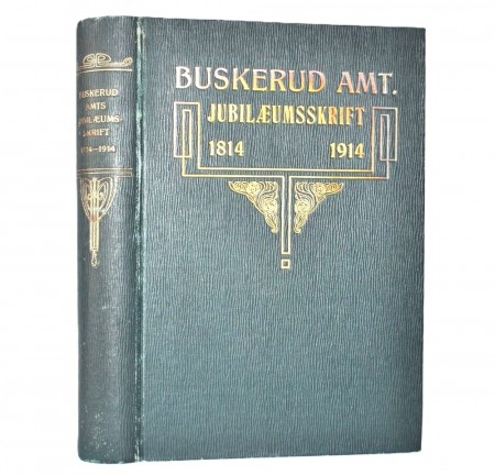 Buskerud Amt.