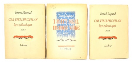 Tormod Skagestad x 2