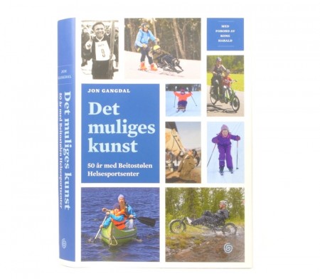Jon Gangdal: Det muliges kunst.  