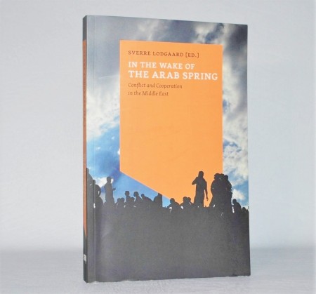 In the Wake of the Arab Spring.