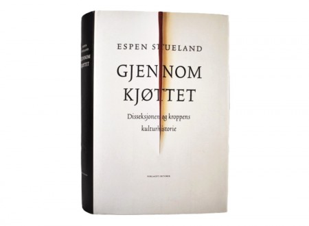 Espen Stueland: Gjennom kjøttet. 